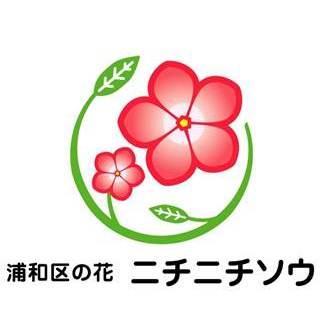 浦和区の花ニチニチソウのイラスト